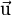 \rm \vec{u}