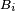 \scriptstyle\ B_i\