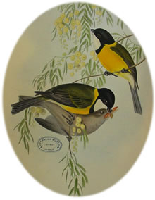 Illustration d'un couple