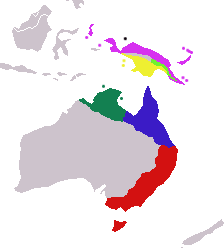 sous-espèces de Petaurus breviceps :