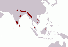 Elphas maximus range.png