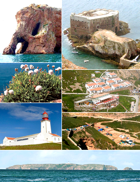 Diférentes vues de l'archipel des Berlengas.