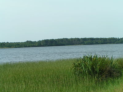 Étang d'Aureilhan (Landes)
