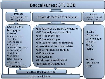 Baccalauréat sciences et technologies de laboratoire