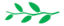 Leaf morphology alternate.png