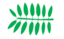Leaf morphology even pinnate.png