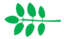 Leaf morphology odd pinnate.png