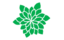 Leaf morphology rosette.png