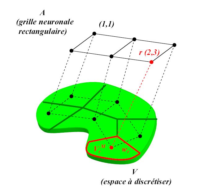 Carte auto adaptative