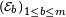 \scriptstyle\ \left(\mathcal{E}{b}\right){1\le b\le m}\