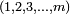 \scriptstyle\ (1,2,3,\dots,m)\