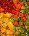 Capsicum1.jpg