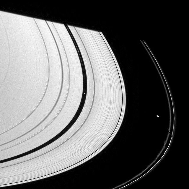 Les actions perturbatrices de trois lunes de Saturne