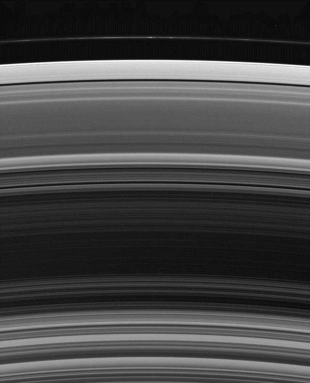 La diversité des anneaux de Saturne