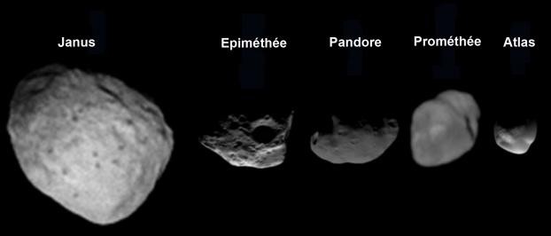 Les petits satellites de Saturne sont-ils les enfants des anneaux ?