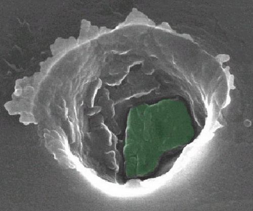 Stardust : les premiers résultats scientifiques