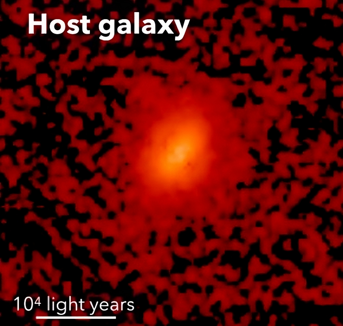 Détection des galaxies hôtes de quasars dans l'Univers primitif