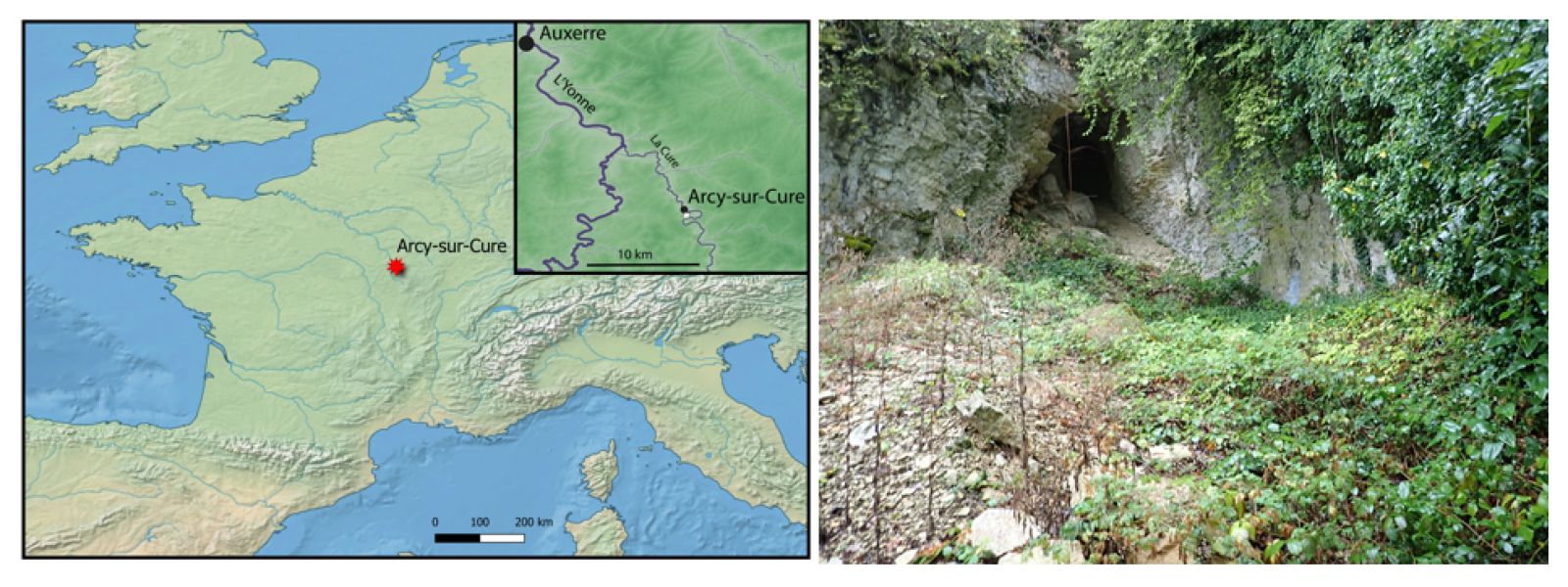 Le premier humain anatomiquement moderne identifié dans la France du Châtelperronien