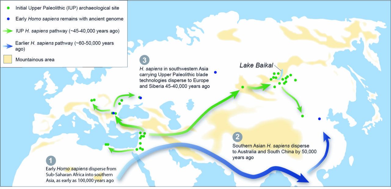 Les humains ont-ils migré à cause du réchauffement climatique il y a... 50 000 ans ?