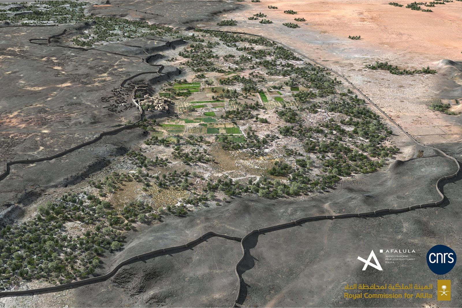 Impressive Bronze Age Oasis Fortification Unearthed in the Arabian Desert