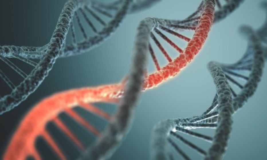 Artificial life: a crucial milestone reached