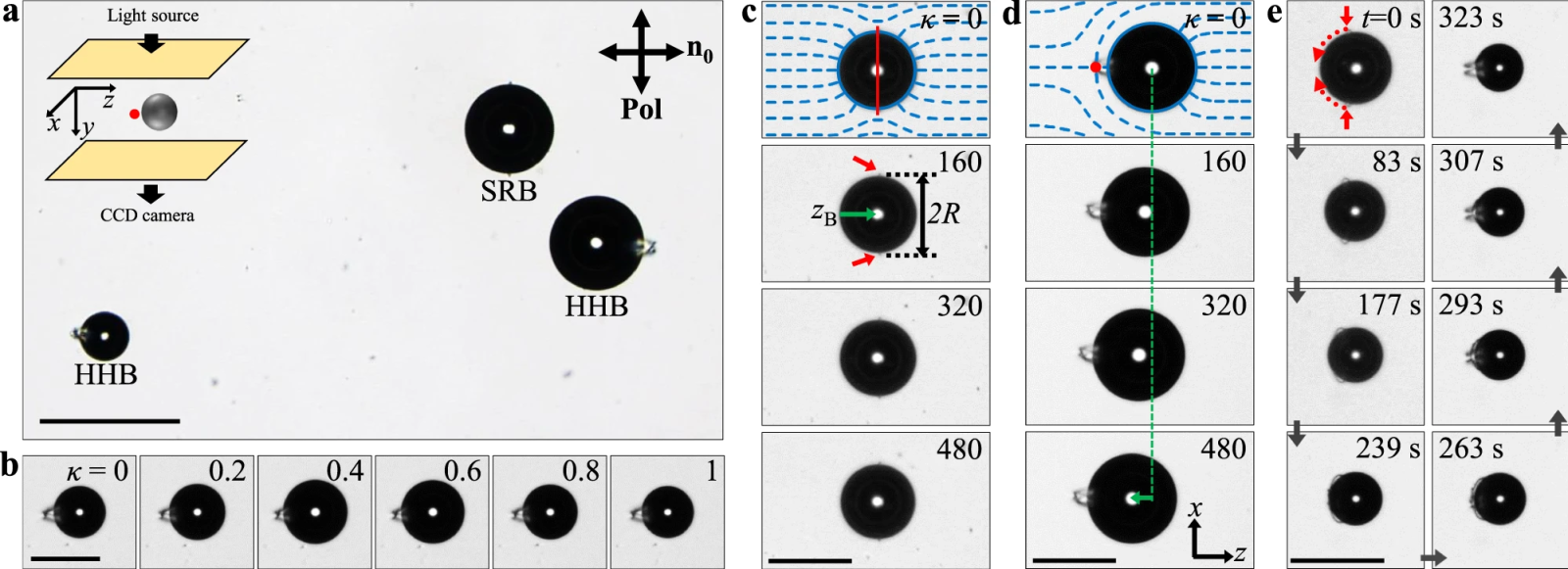 Discovery of a new principle of motion in liquid crystals