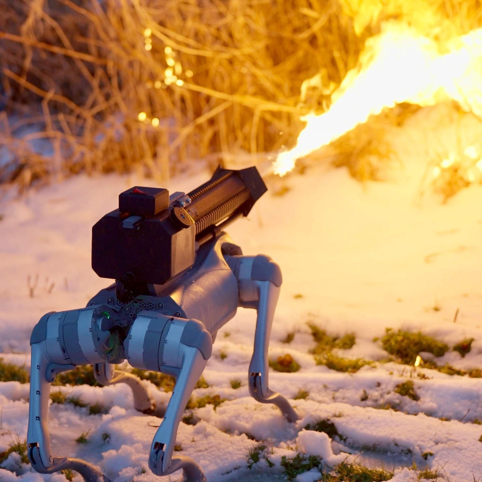 Debate arises over the sale of this flamethrower-equipped robot dog to the general public