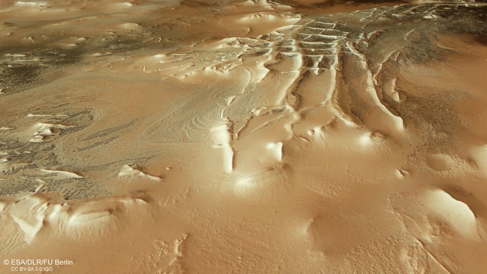 Hundreds of black 'spiders' emerge from the ground at "Inca City" on Mars