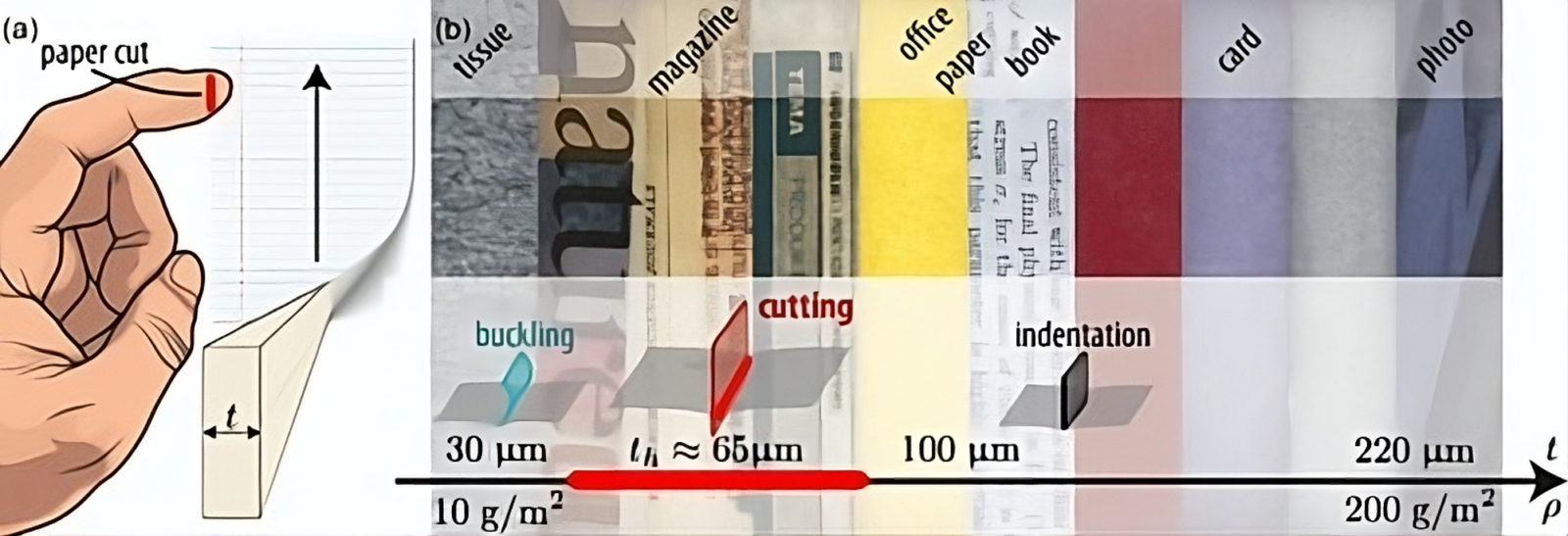 Des physiciens dévoilent le papier le plus coupant, surprise en vue