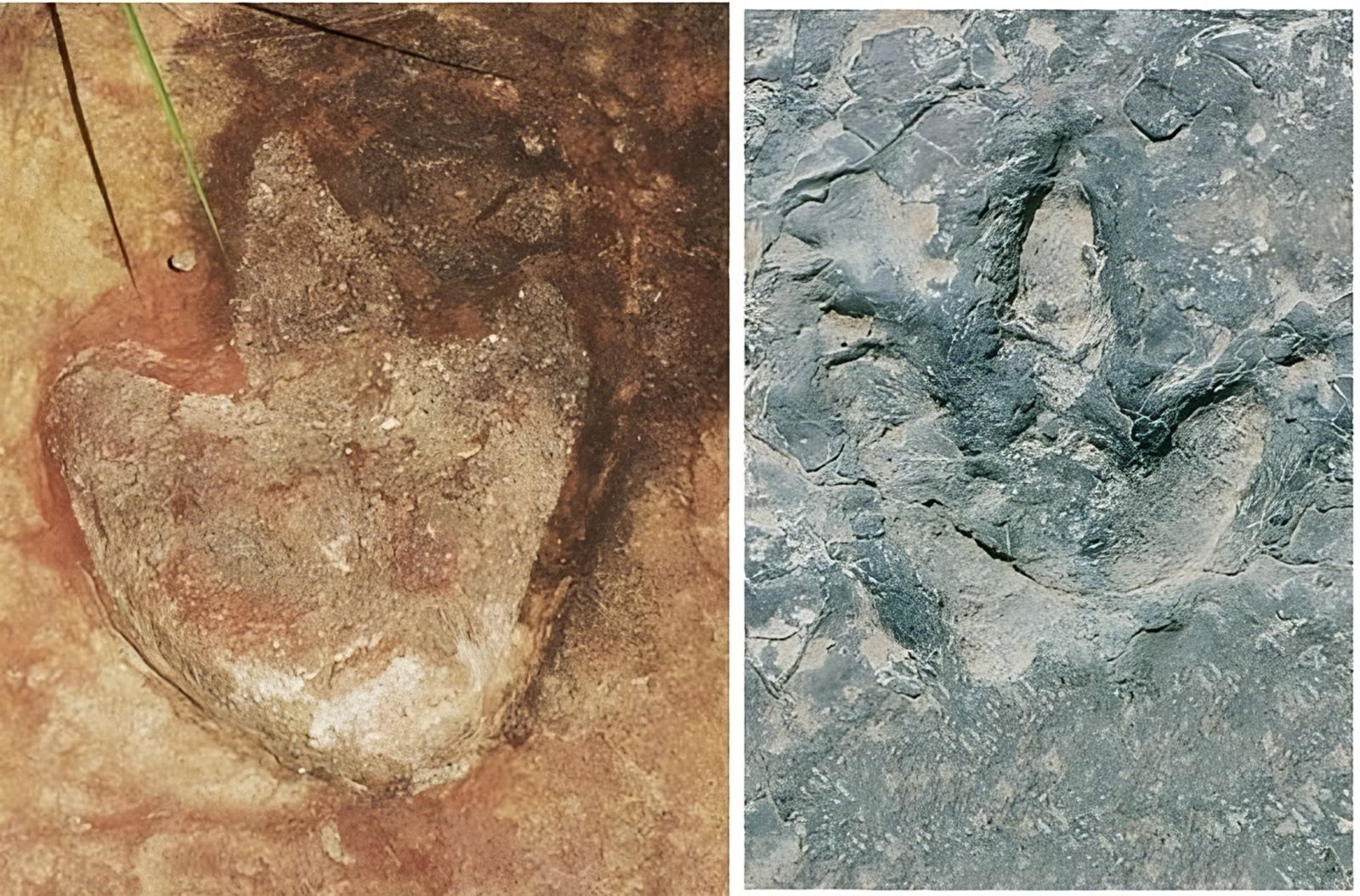 Comment s'explique la découverte d'empreintes de dinosaures identiques aux deux extrémités de l’Atlantique ?