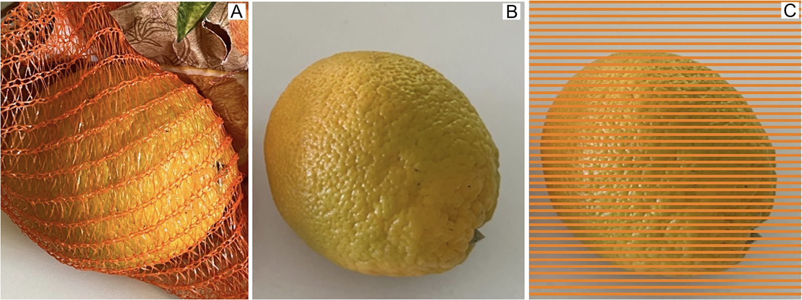 How supermarkets manipulate your senses