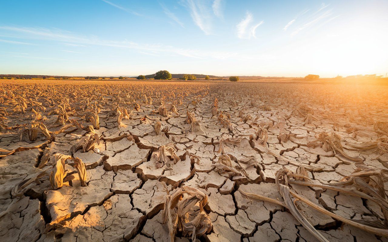 🚜 Sécheresse planétaire : le risque de famine pour toute l'humanité
