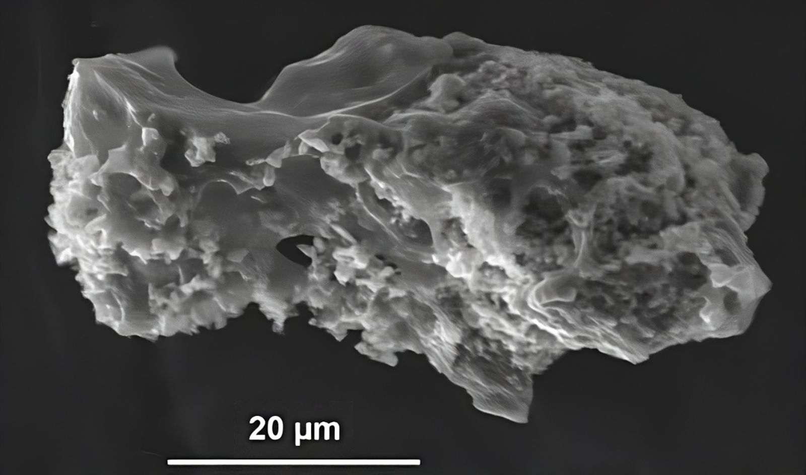 These meteorites have an unusual composition ☄️ Scientists' explanation