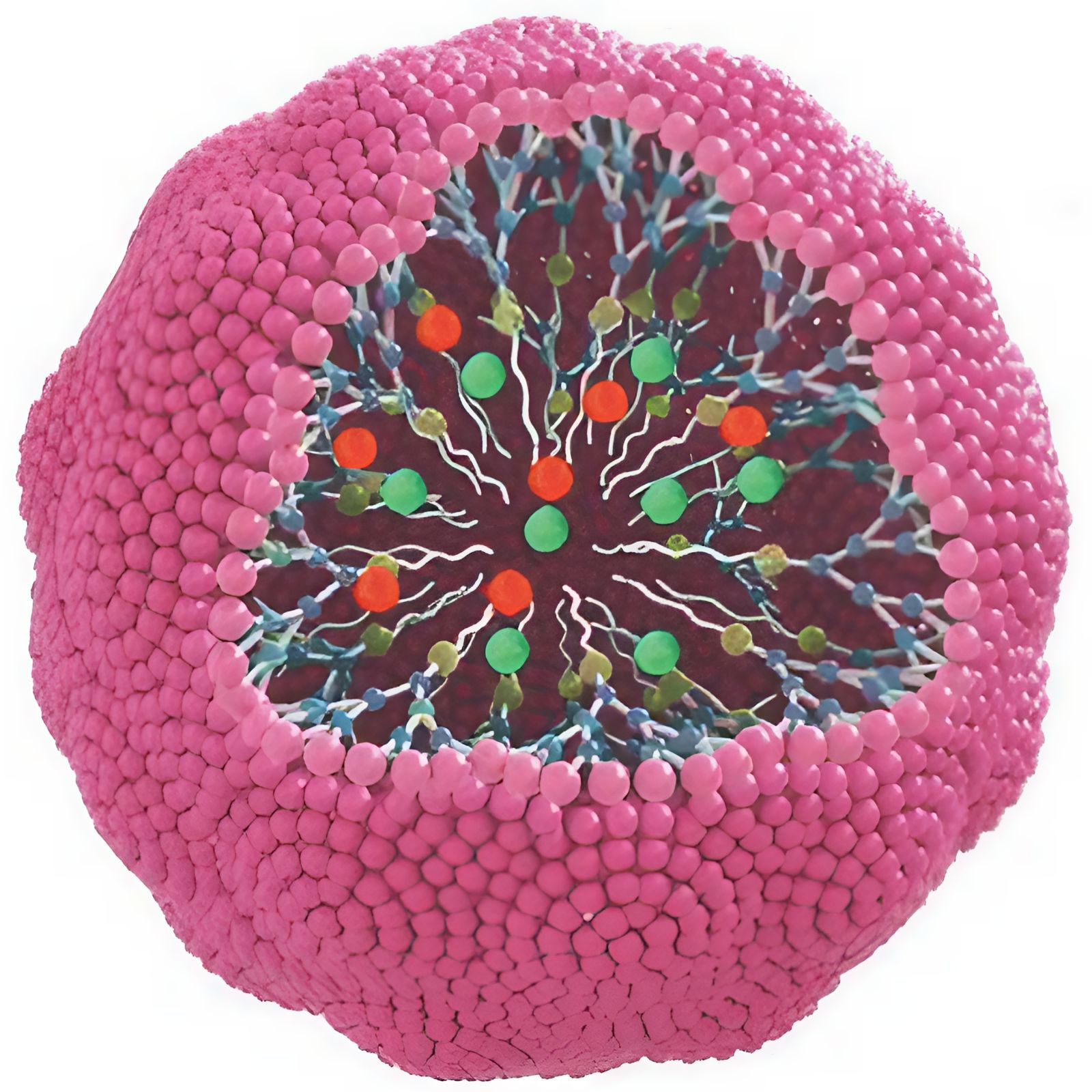 Imaging and treating cancerous tumors simultaneously