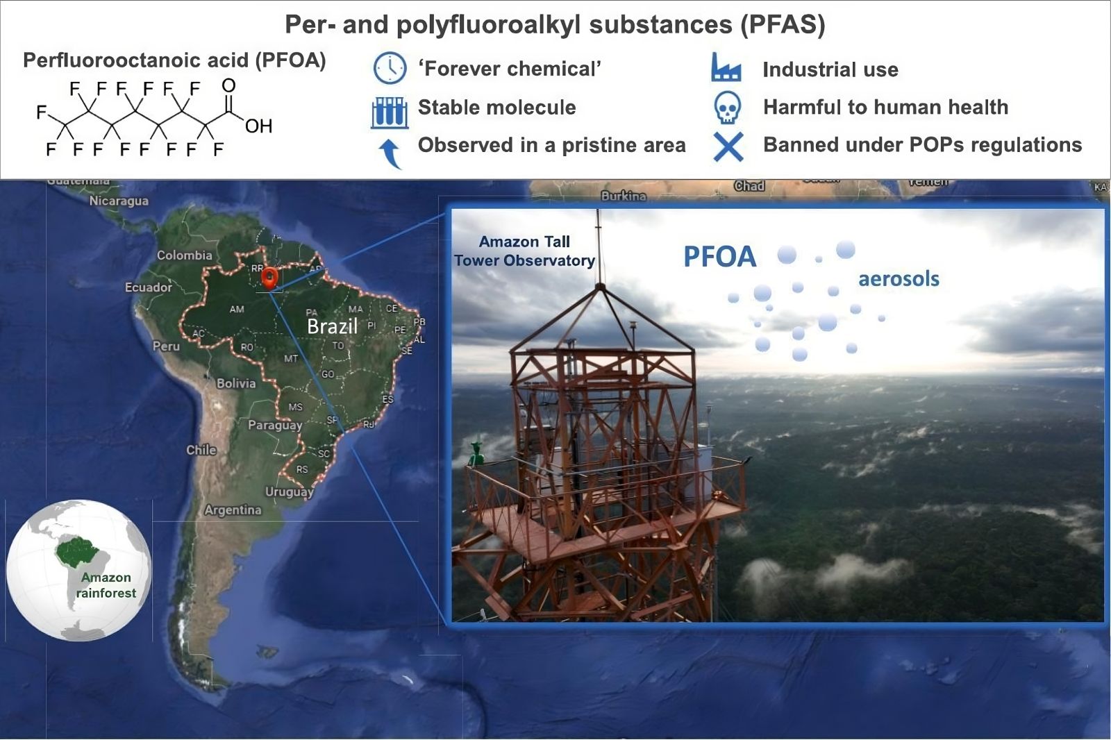 Persistent pollutants: these chemical substances transported to the Amazon