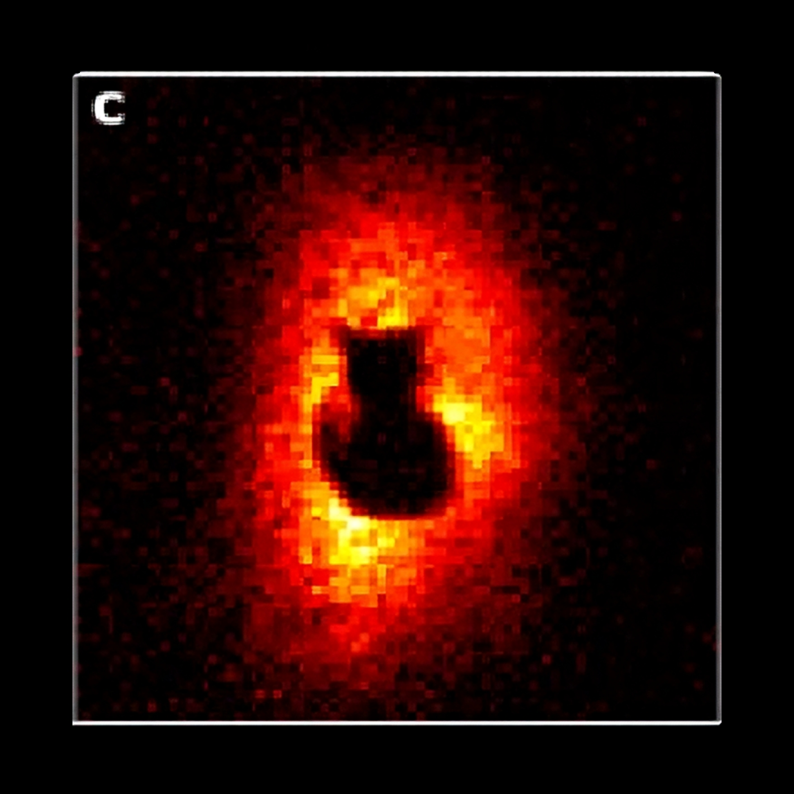 Hiding an image in the quantum correlations of photons