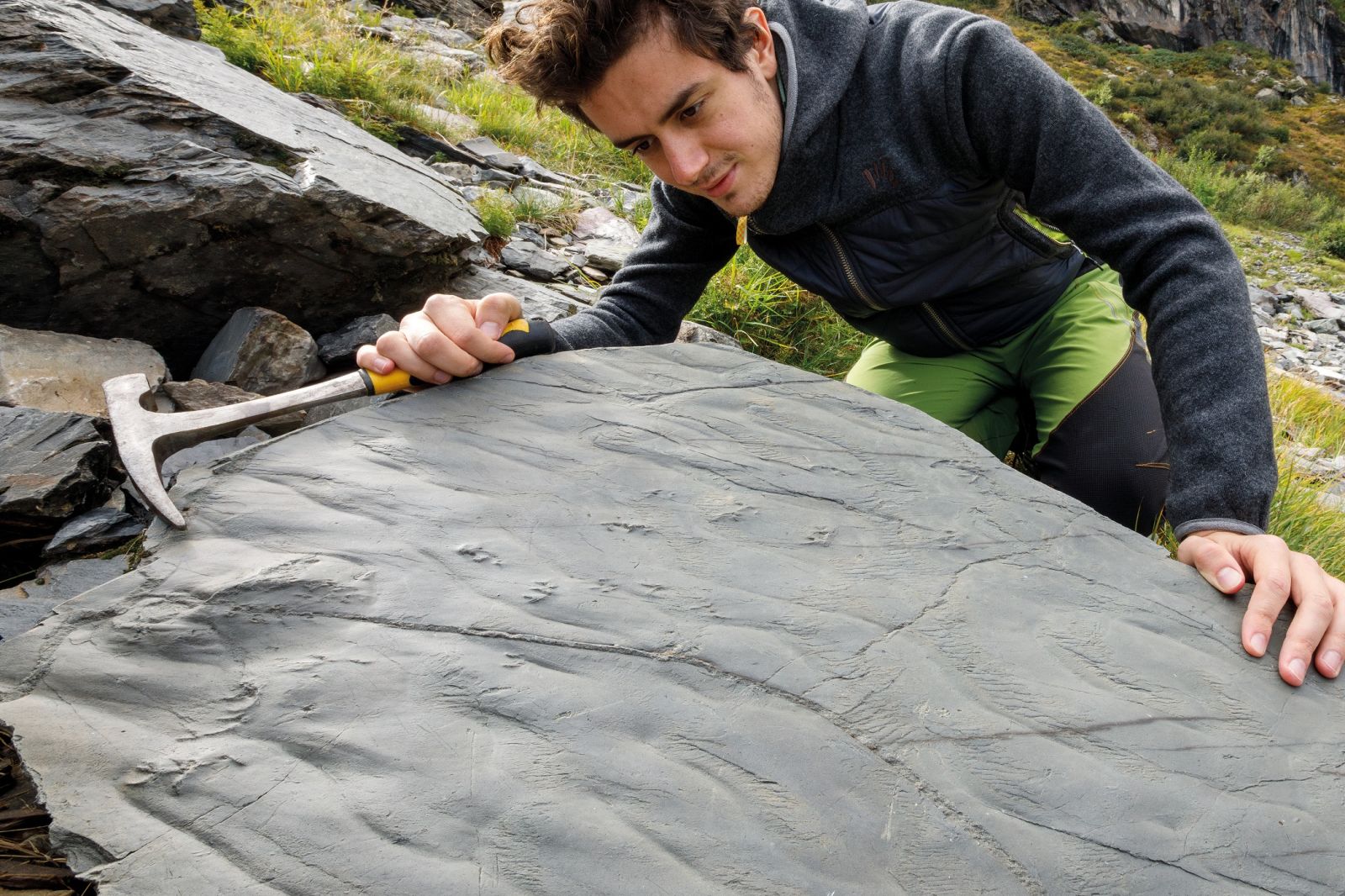 Caminhantes descobrem pegadas misteriosas nos Alpes: surpresa científica 👀