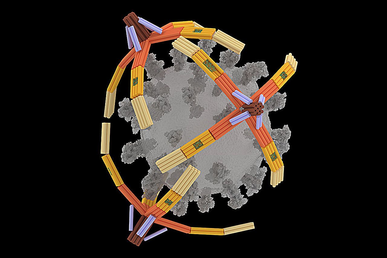 Esta mão robótica nanométrica é capaz de capturar vírus (exemplo com a COVID-19)