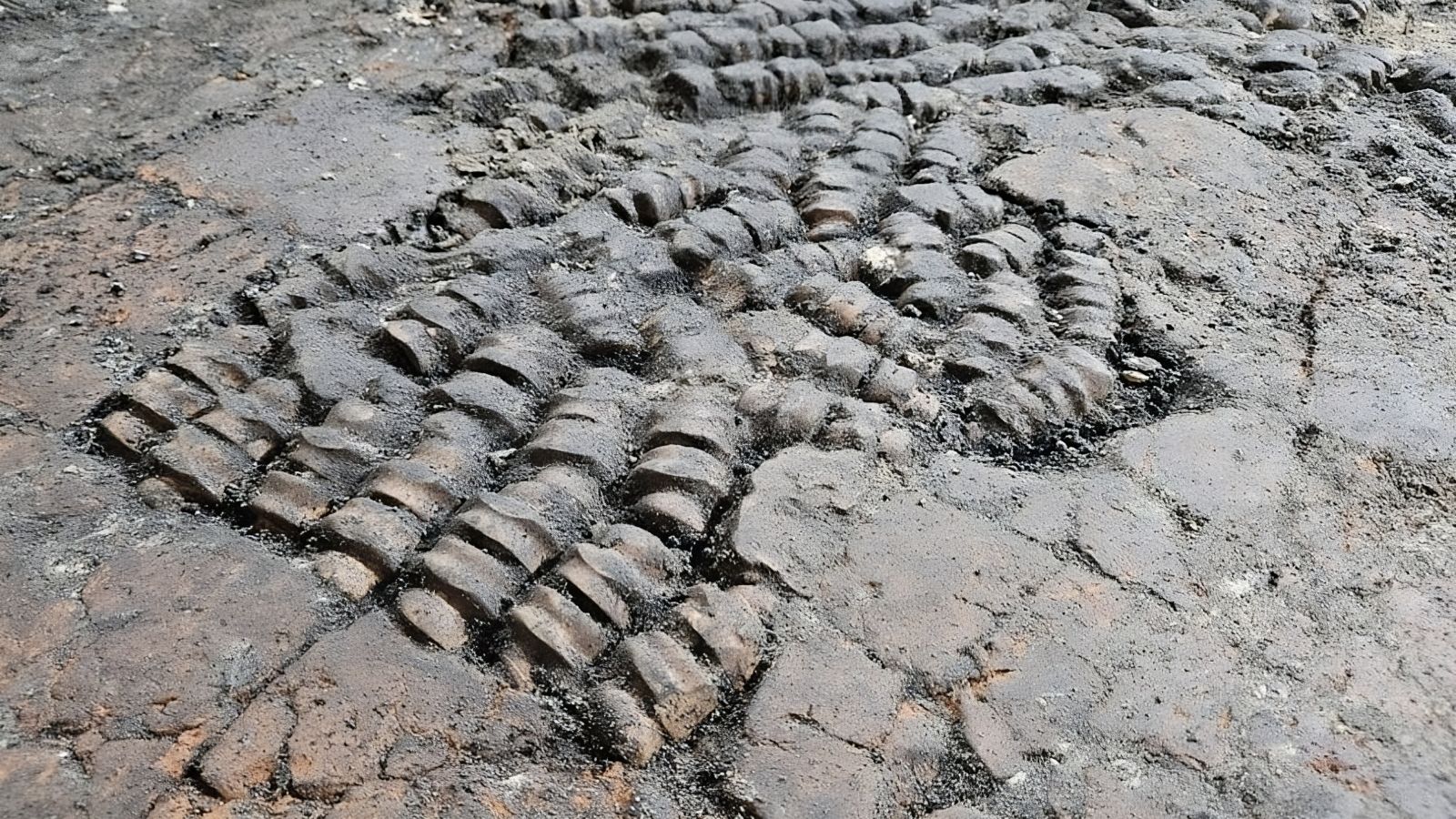Descoberta intrigante de um chão fabricado com... ossos 🦴