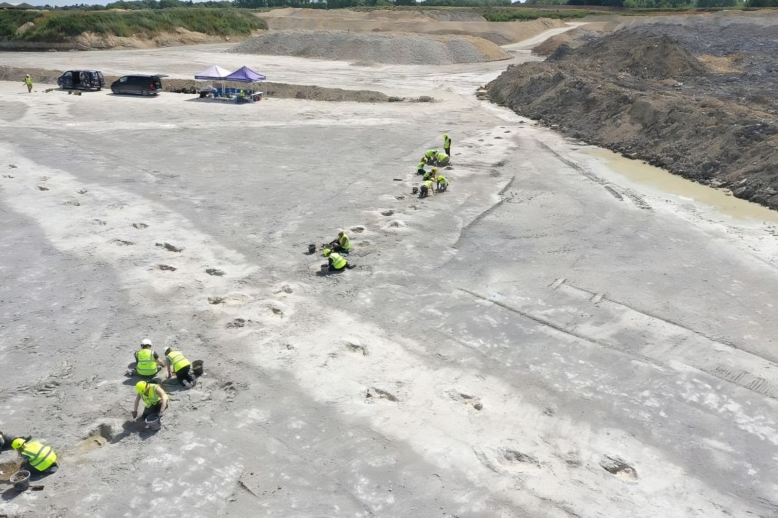 L'autoroute des dinosaures : 200 empreintes de dinosaures de 166 millions d'années 🦖