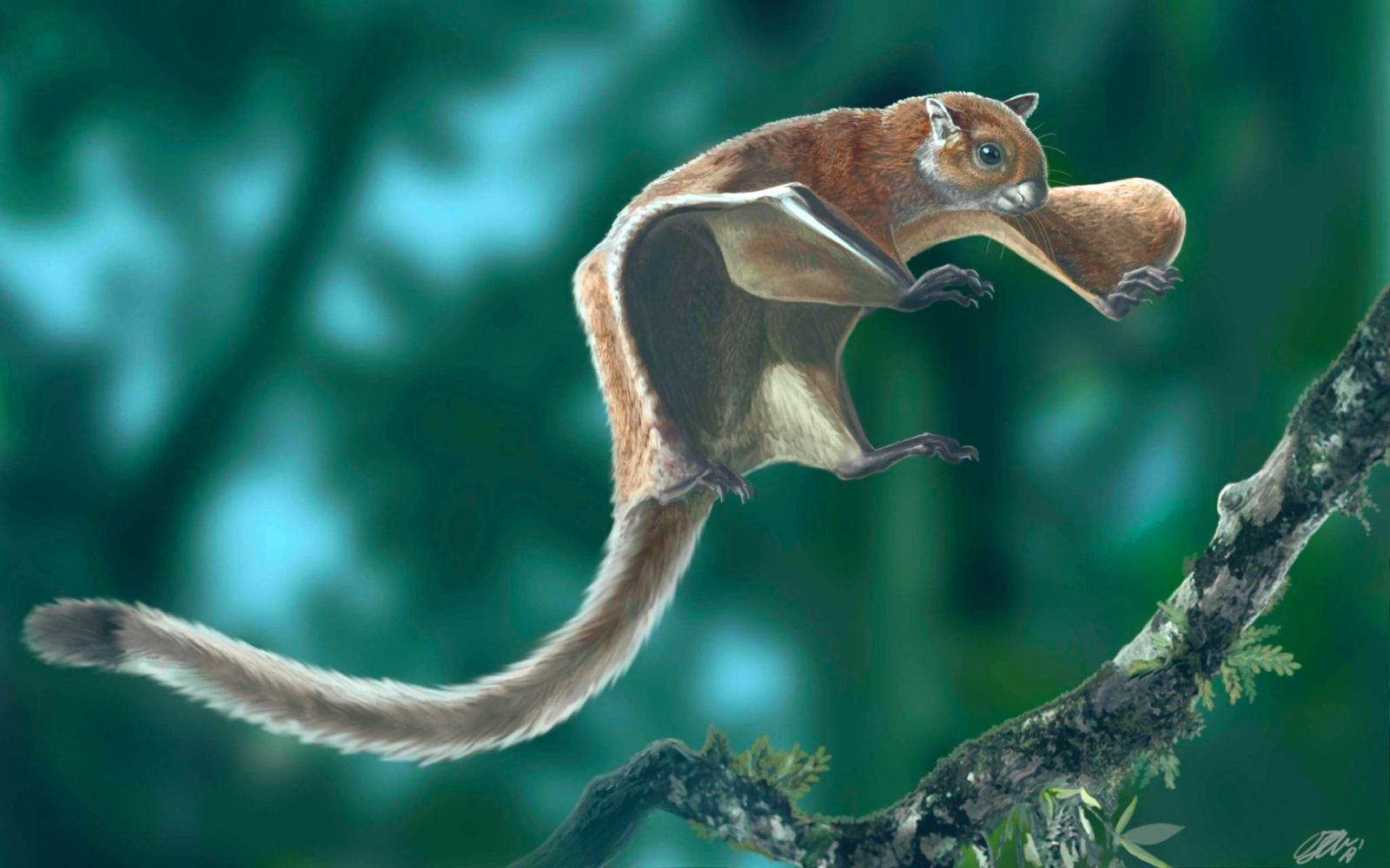 Descoberta: esquilos voadores gigantes viviam na América do Norte há milhões de anos 🐿️
