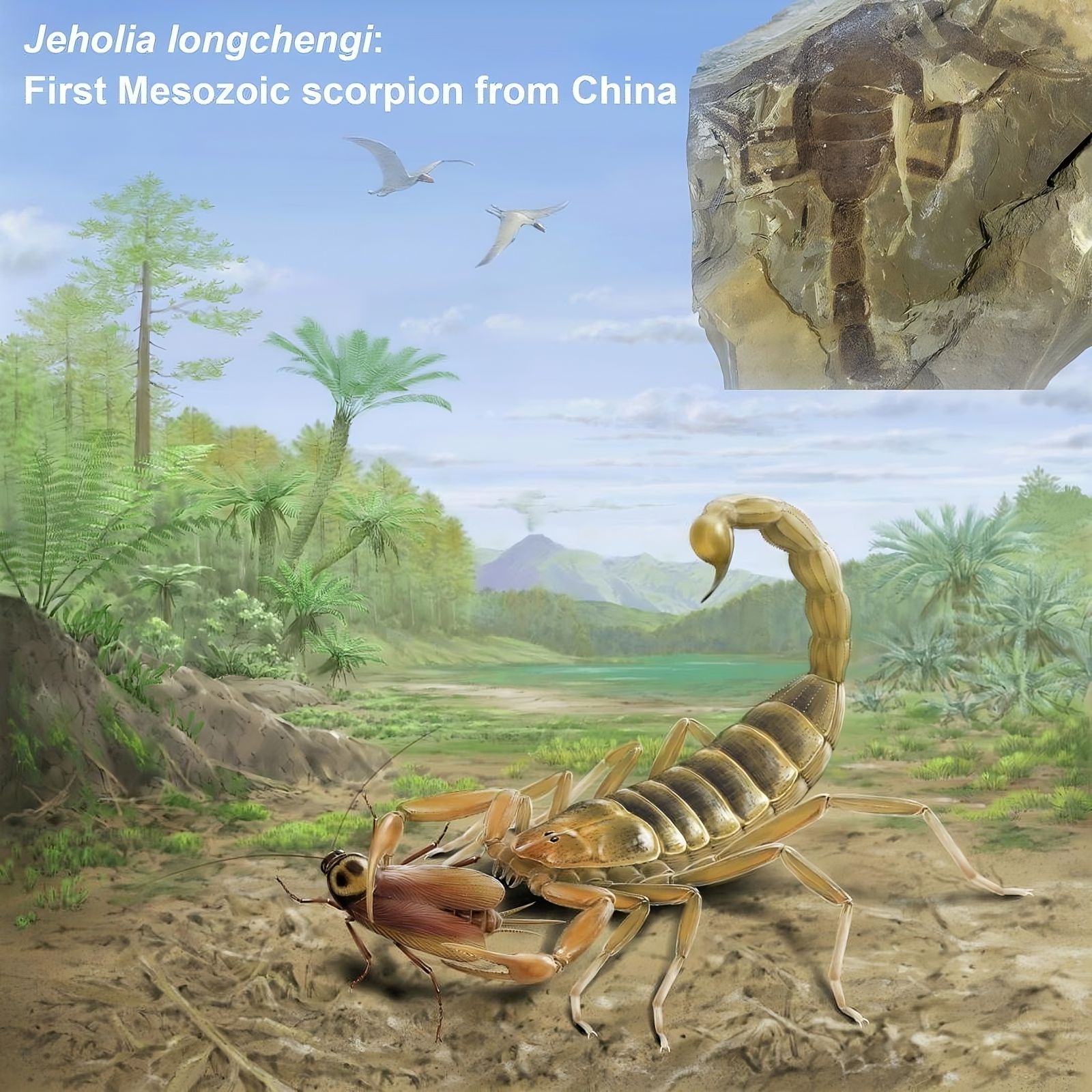 Um escorpião gigante de 125 milhões de anos descoberto na China 🦂