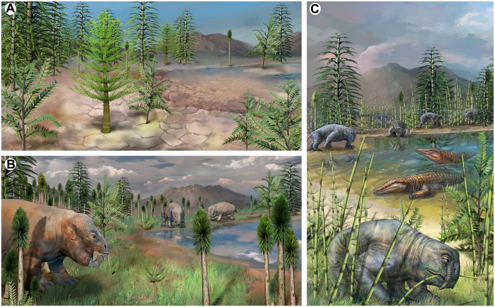 Descoberta de um refúgio chinês datado da extinção em massa do Permiano 🌍