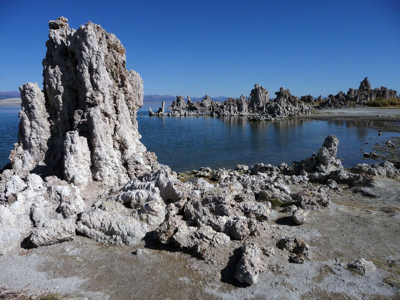Darwin may have been wrong about the origin of life, here's why 🌍