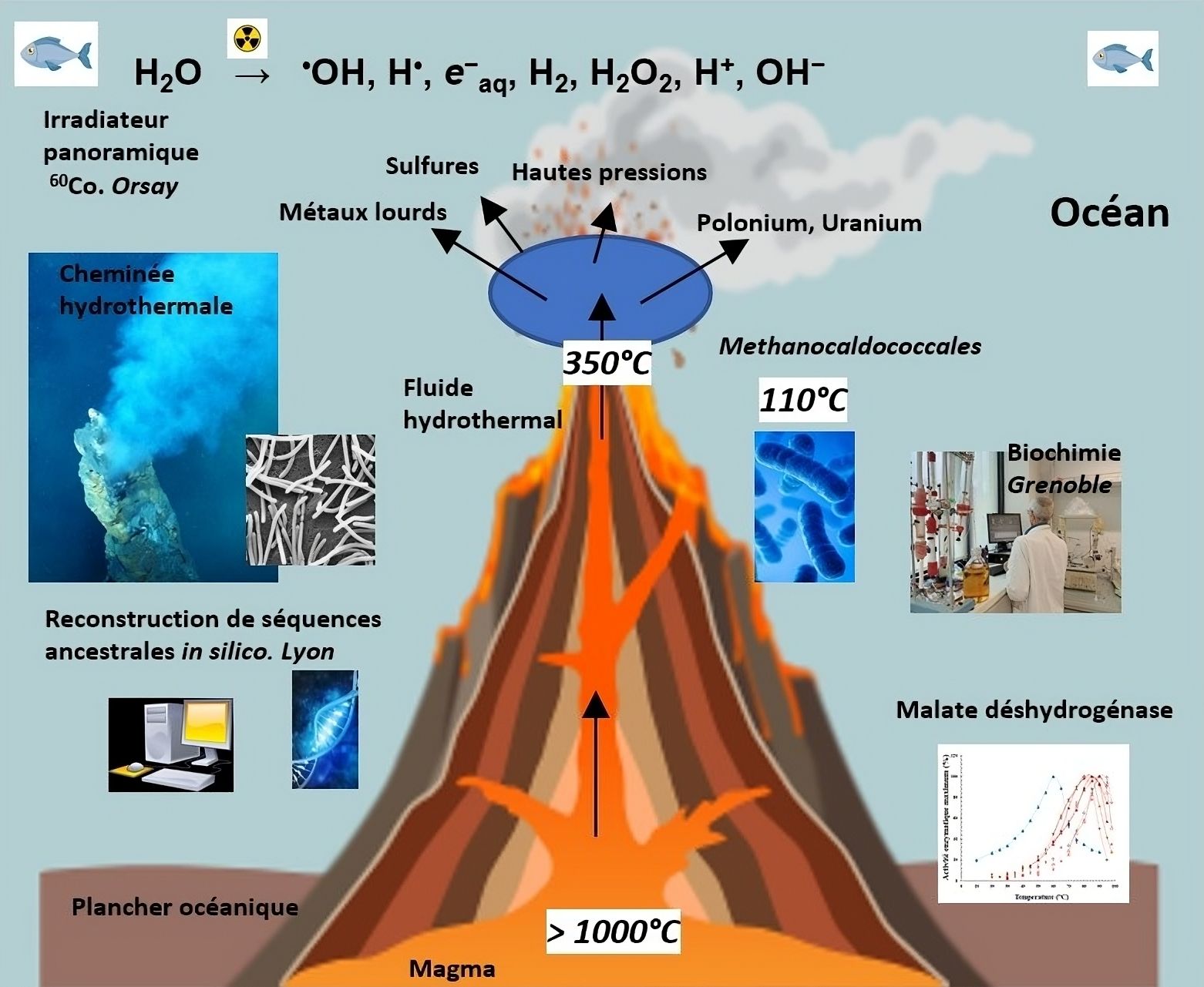 Prehistoric proteins resurrected reveal extreme resistance to radioactivity 🌋