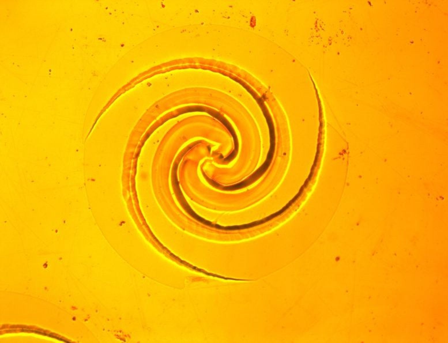 "Galaxies" emerge on metal: where do they come from? 🌀