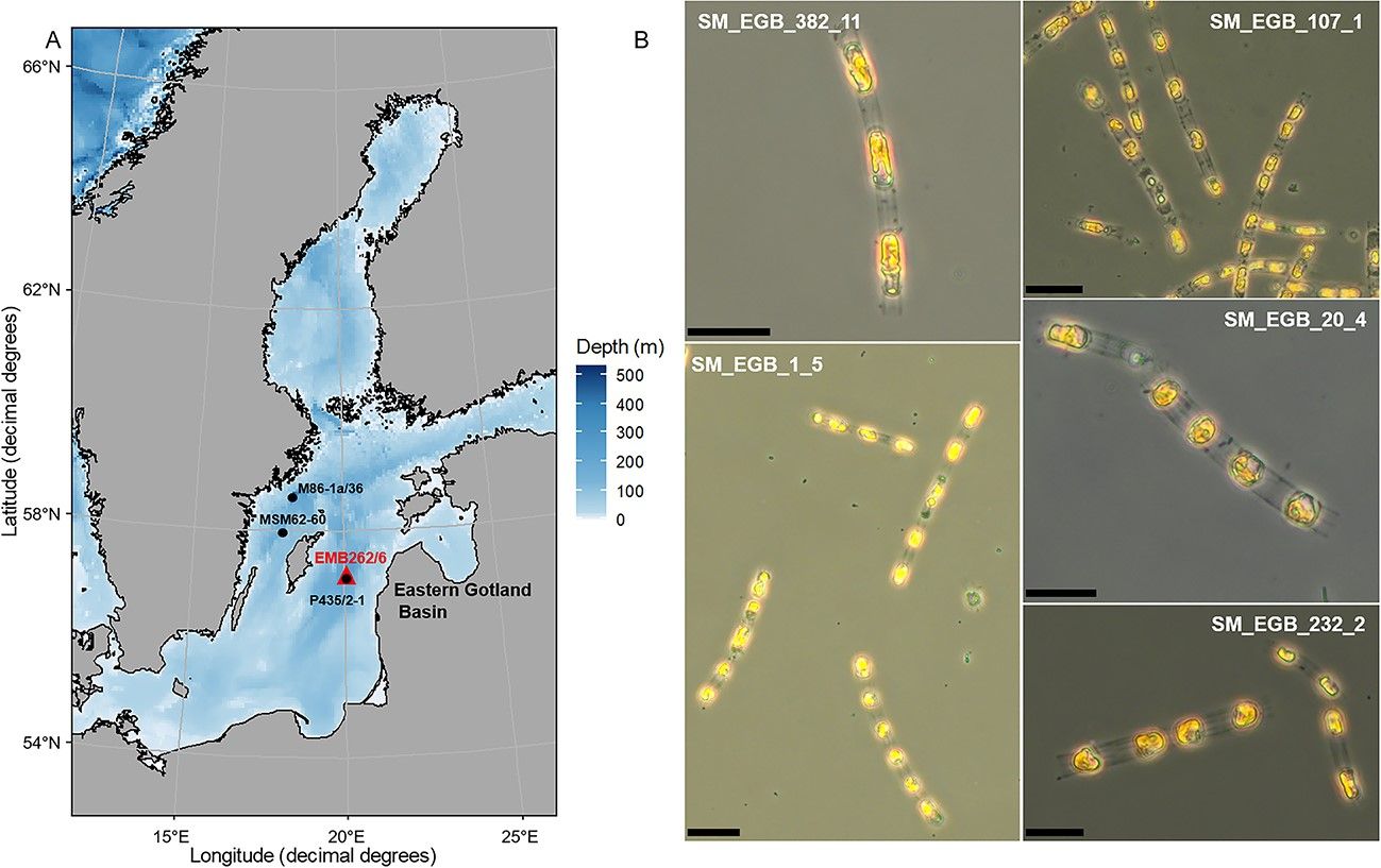 Scientists awaken organism dormant for 7000 years 🧬
