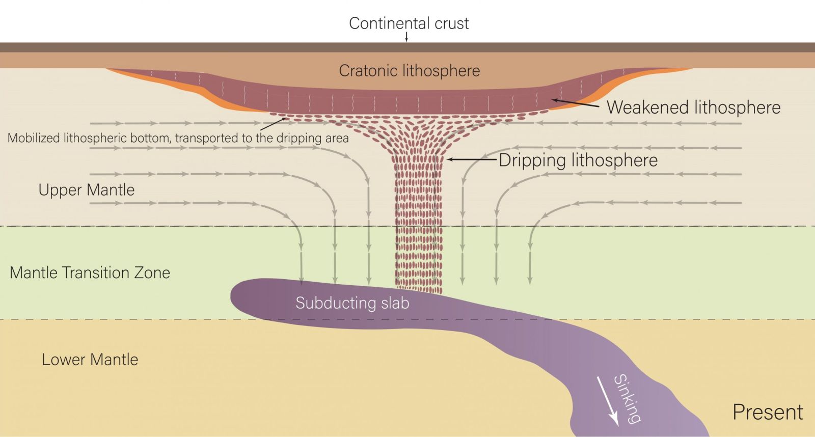Earth's crust collapsing beneath the United States 🌍