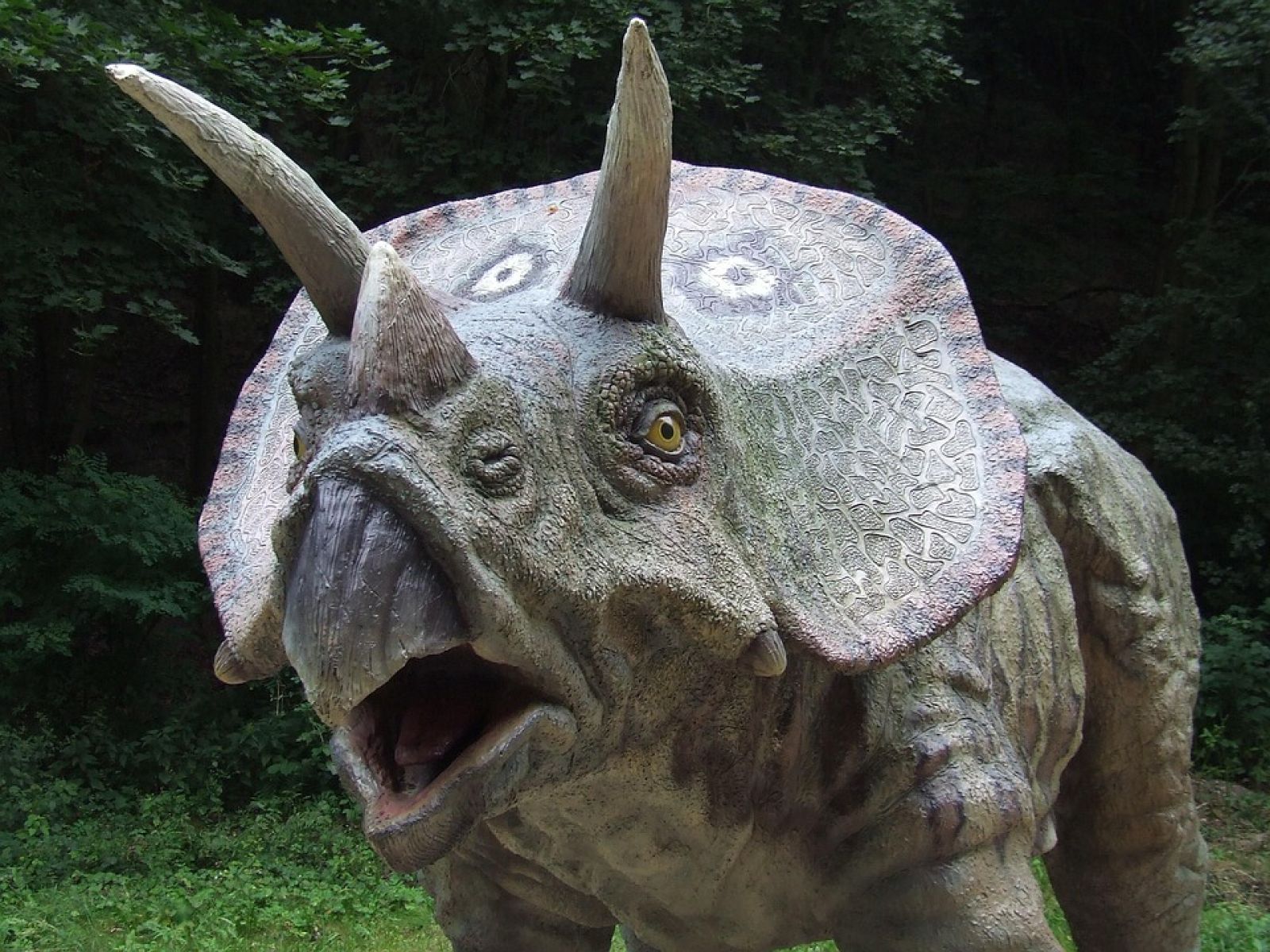 Dinosaurs were not in decline before the asteroid impact 🦖