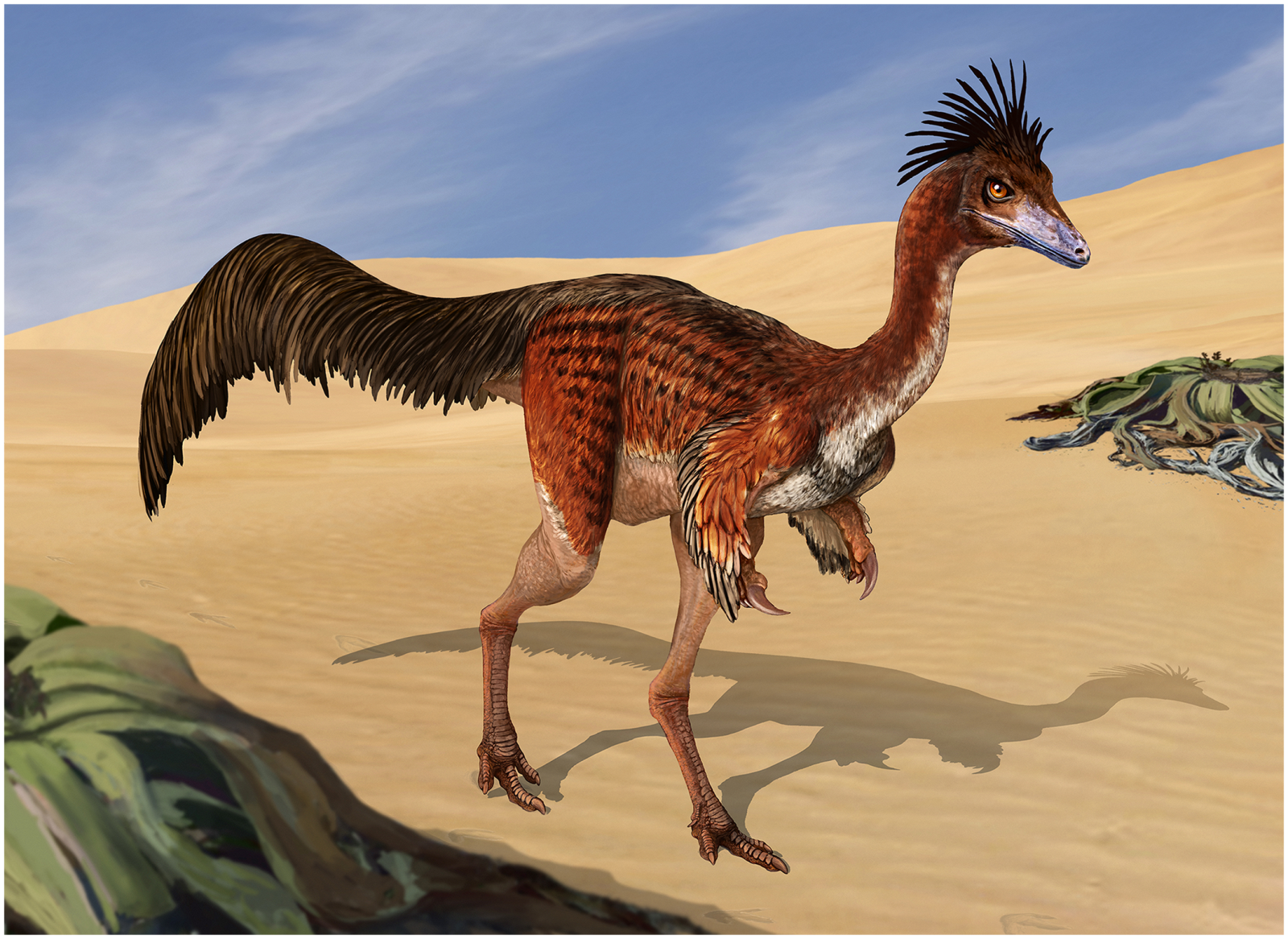 Discovery: this dinosaur had air pockets in its bones 🦴